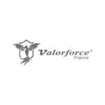 doerhrm client valorforce