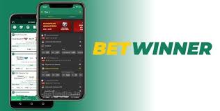 Everything You Need to Know About BetWinner Login 4