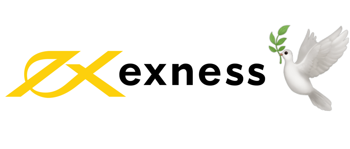 Exness FX Review A Comprehensive Look at the Trading Platform