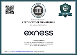 Trade Anywhere Mastering Exness MT4 Android